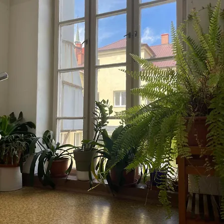 Hotel Moravia *